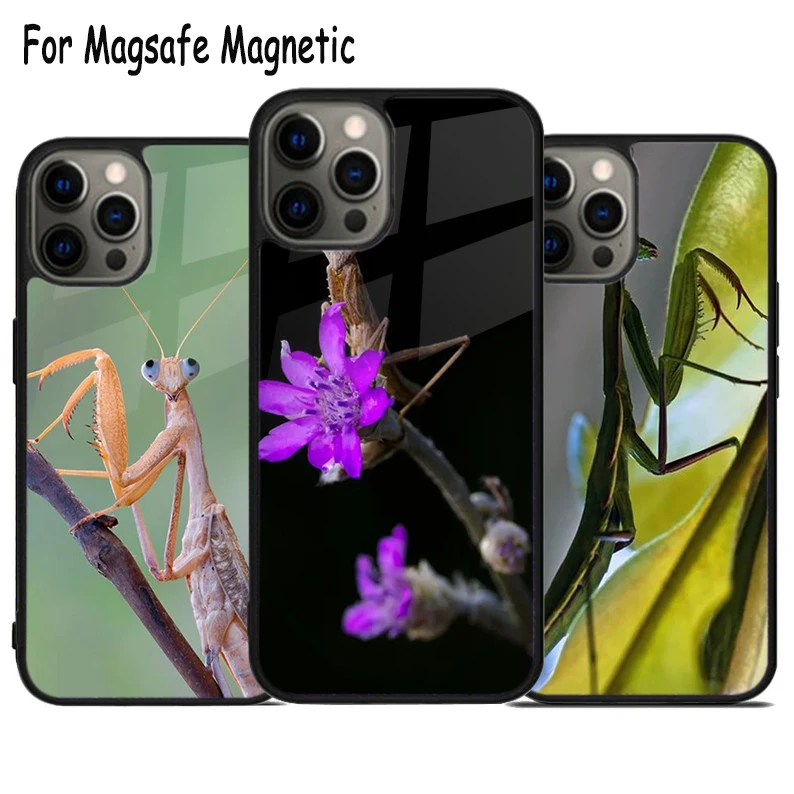 Preying Mantis Insect Animal Wireless Charge Magsafe Phone Case For iPhone 15 16 14 13 11 12 Pro Max Plus Magnetic Bumper Cover