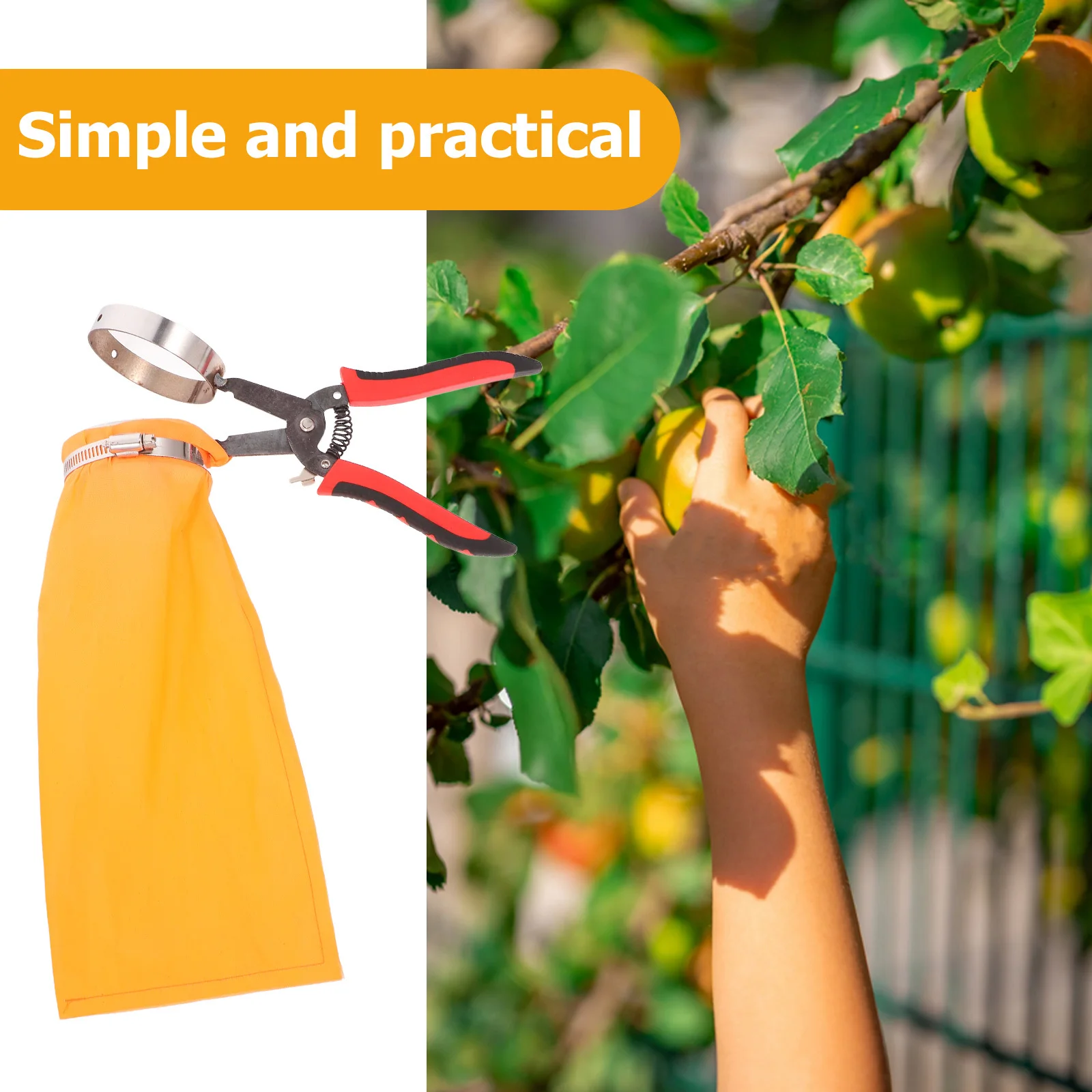 

Handheld Fruit Picker Tool Ergonomic Handle Replaceable Blades Steel Construction For Berry Blueberry Pepper Apple Pear Mango