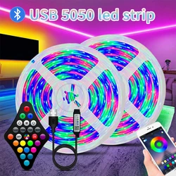 USB LED Cor Mudar Strip Lights, Luzes com 24 Teclas, Modo Remoto, Decoração do Quarto, Bluetooth, TV, RGB, Controle APP, 5050, 1m-30m