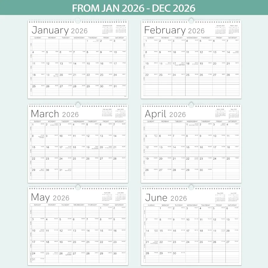 2026 Wall Calendar 2026 Calendar from Jan. 2026 Dec. 2026 14.6" x 11.4" 12 Months Wall Calendar 2026 Thick Paper TwinWire Bindi