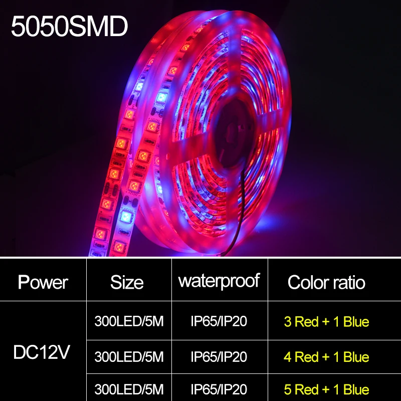 5050 SMD LED Phyto Lamp Strip 5M DC 12V Full Spectrum Grow Lights Waterproof Bulbs For Vegetable Flower Seedling Grow Tent