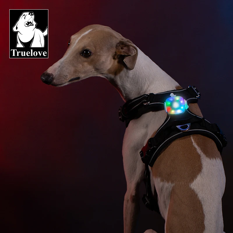 Truelove Safety LED Light for Pet Wear Collar Harness Backpack with Water Resistant and Long Continuous Battery Life TLD19102