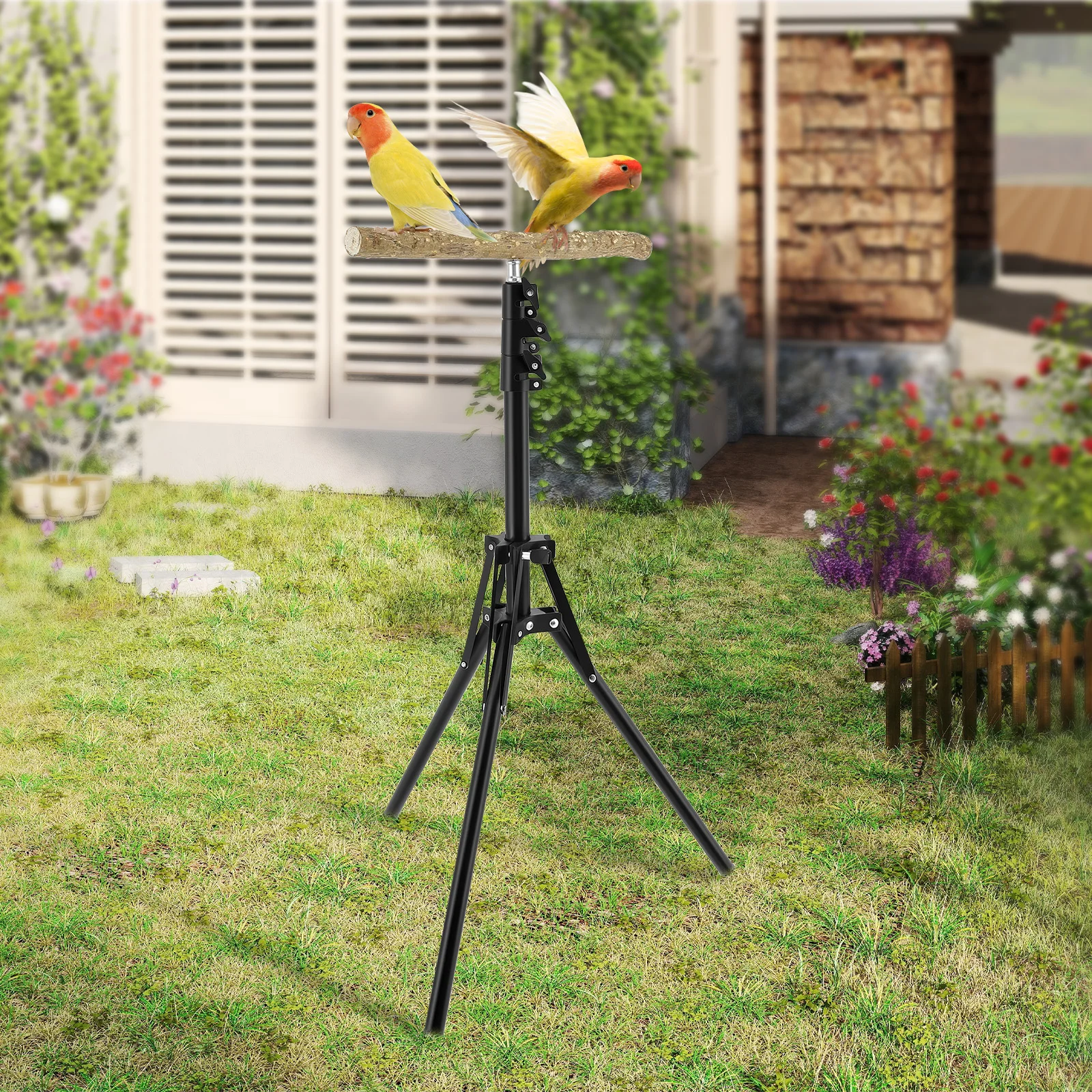 

Wooden Portable Pet Bird Parrot Training Stand Bird Habitat Indoor Outdoor Play Training Station Pole training behavior aids