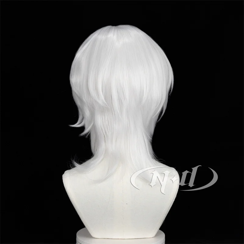 ND-Peluca de cabello sintético para Cosplay, pelo sintético resistente al calor para fiesta temática de juego de cómic, Xia Xiaoyin Beyond the World