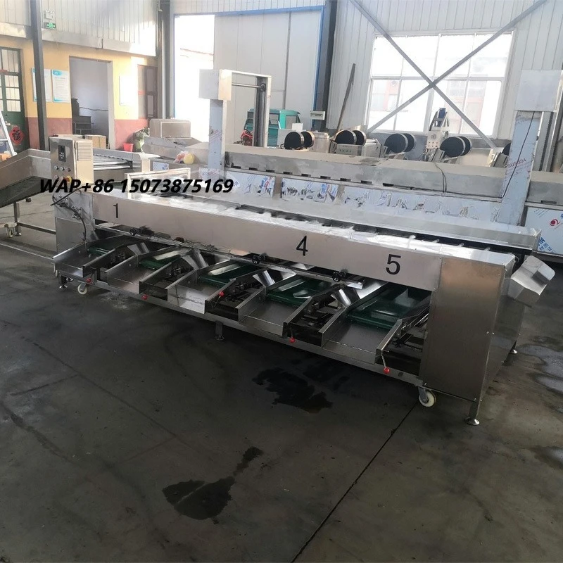 Small Size Sorting Grading Machine for Tomato Reemoon Raisin Potato Pomegranate Cherry Blueberry Fruit Food Best Price