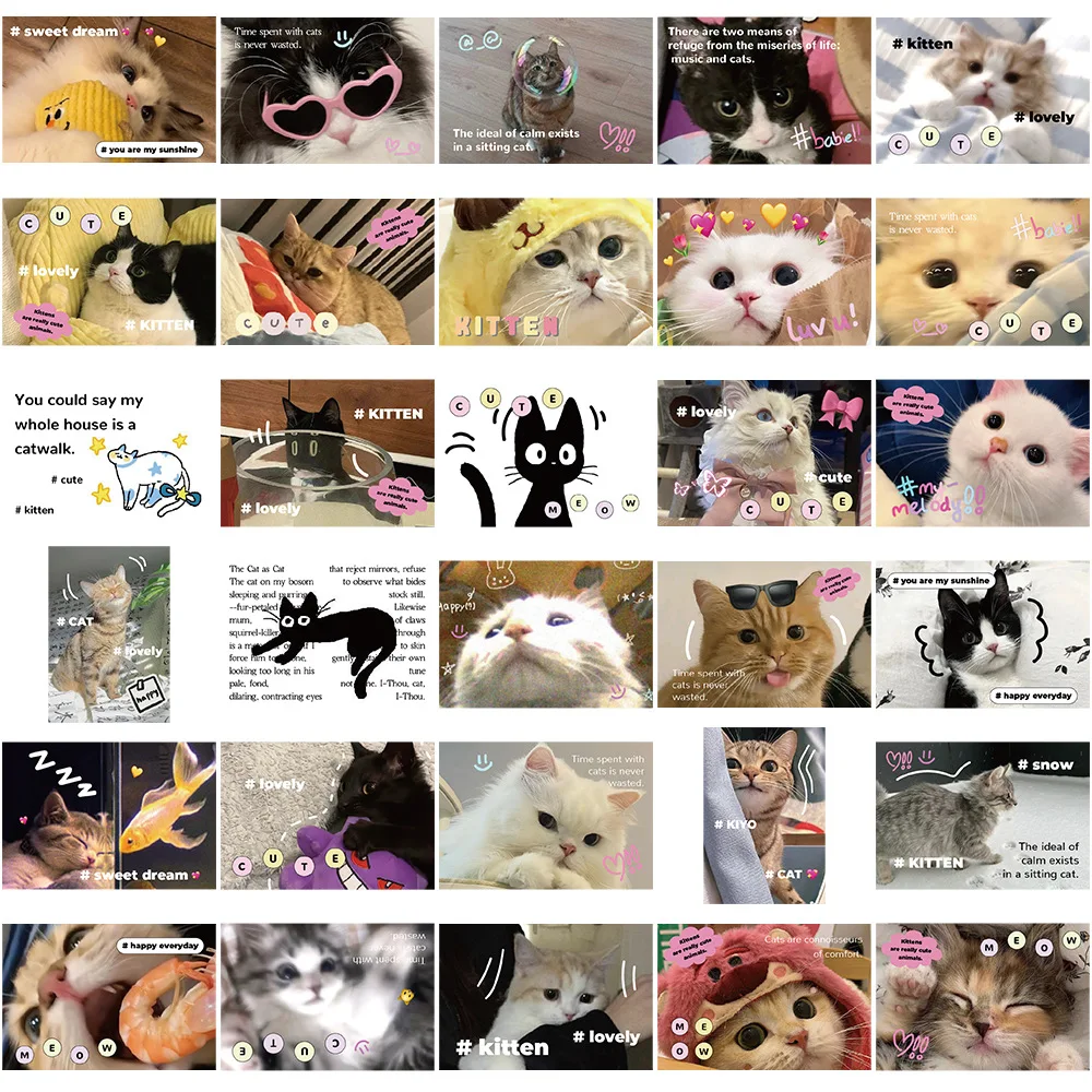 

62PCS Cute Cat Expression Stickers Cartoon Kawaii Kitten Decals for Phone Case Water Bottle Journaling DIY Craft Decor Supplies