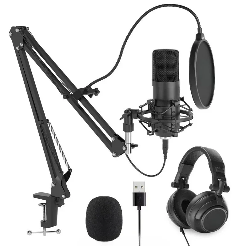 Professional Wireless Microphone Speaker Handheld Microphone Karaoke Microphone Music Player Singing Recorder