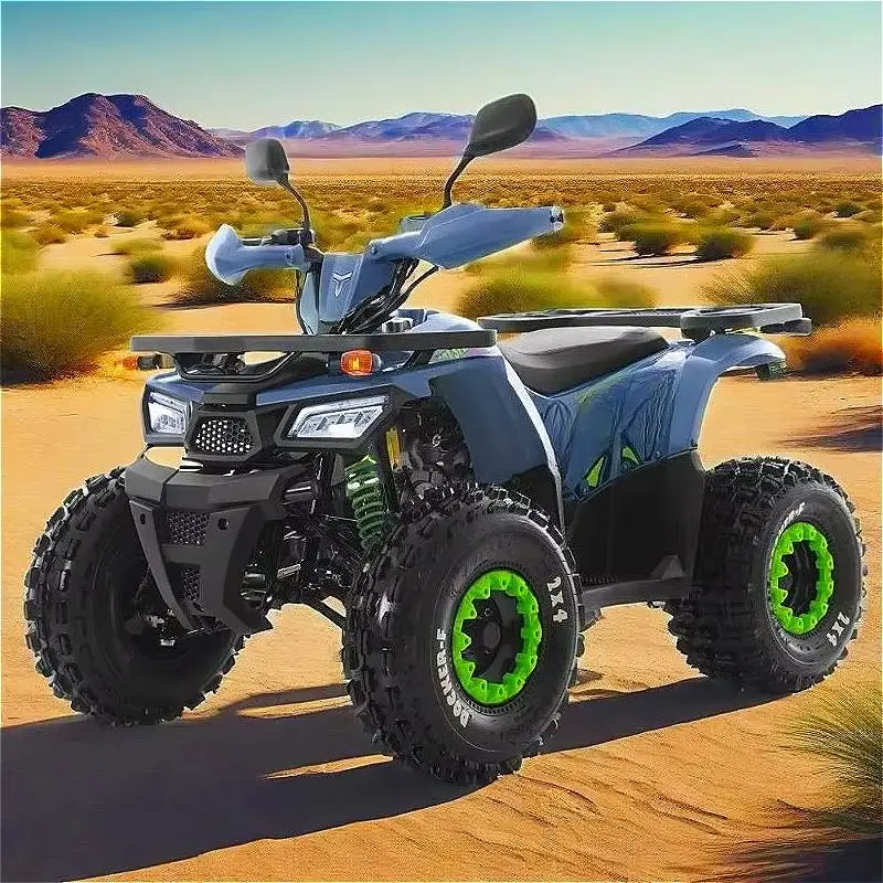 Winch Dune Buggy 300cc 4x4 Off Road Go Kart Recovery Winch for Desert Sand Adventure Customized High Quality Hot Sale
