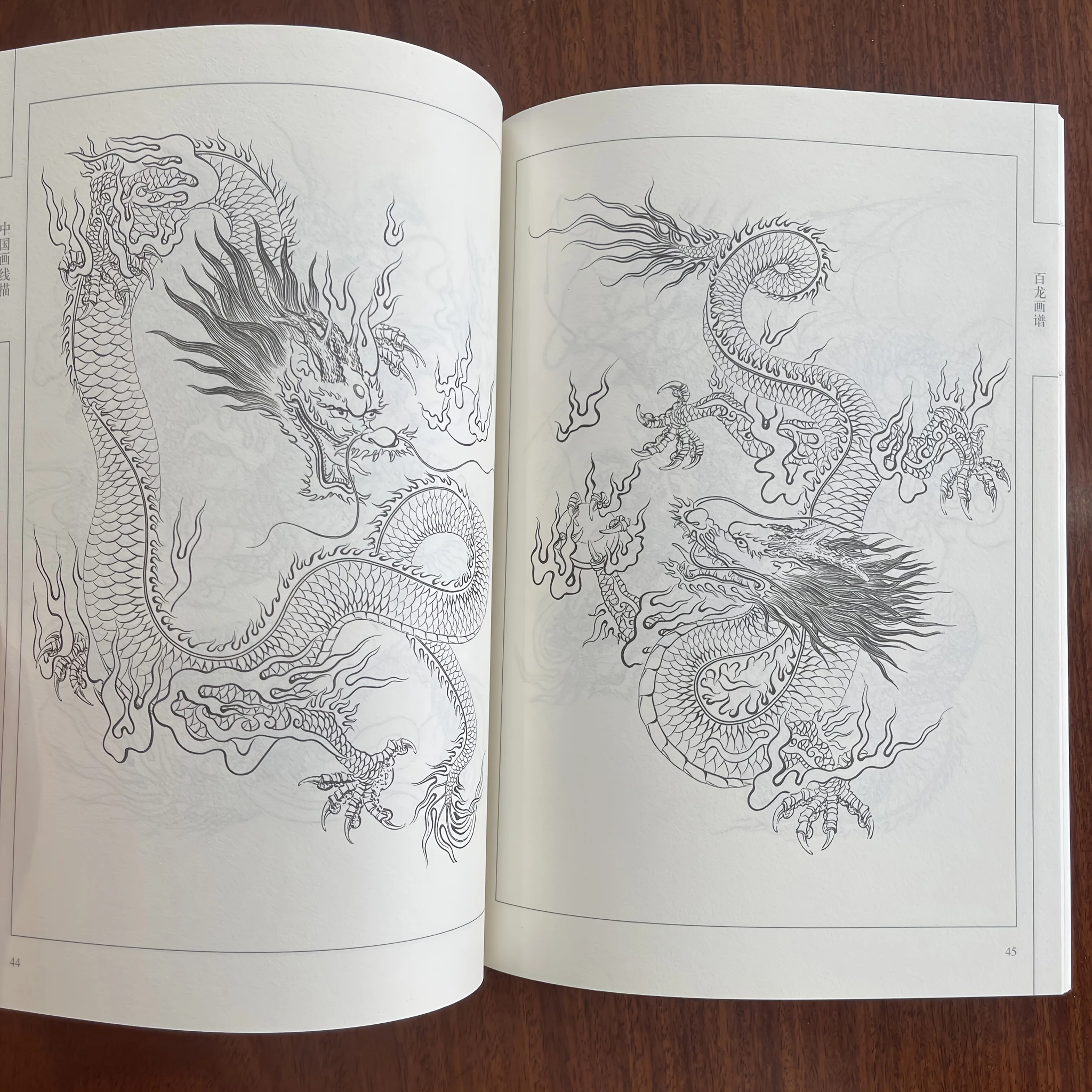 Coloring Book for Adults and Teens Featuring  with Easy and Simple Designs for Relaxation Chinese painting sketch
