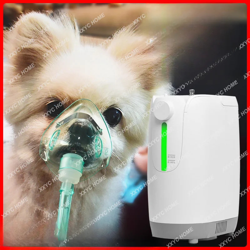 Pet Oxygen Machine Animal Pet Oxygen Setup Small Dog Oxygen Machine Cat Family Version