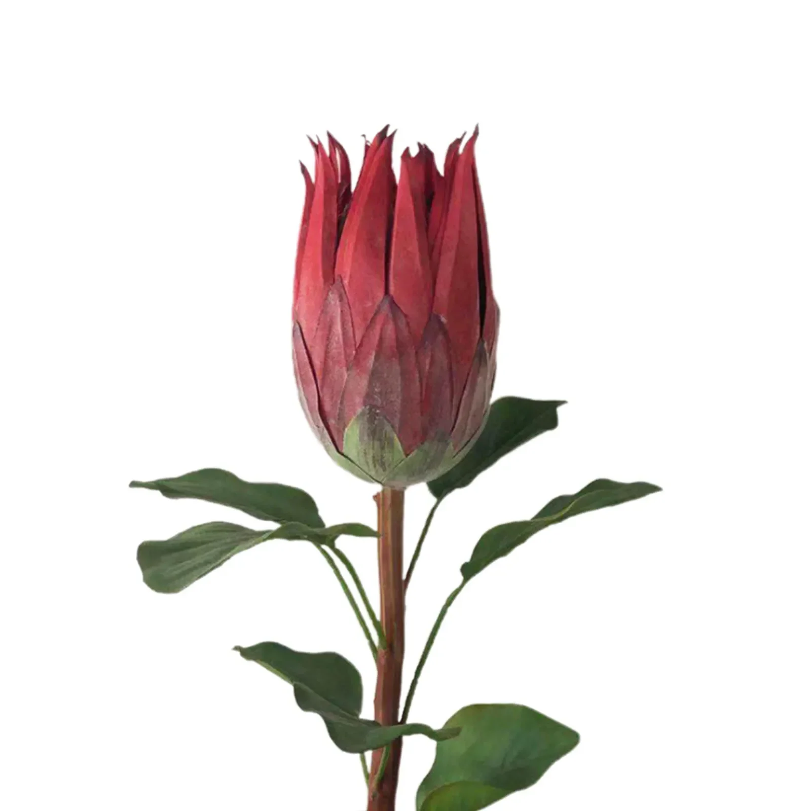 Fleur artificielle pour décoration de maison, accessoires Photo, 1 pièce, 66cm, décor de fête, fleurs de Simulation en soie pour mariage