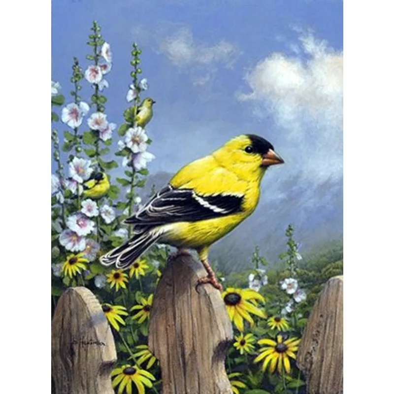 

Наборы для алмазной живописи для взрослых с желтыми птицами, наборы для алмазной живописи для начинающих, алмазная живопись с американскими золотыми птицами, декор для стен
