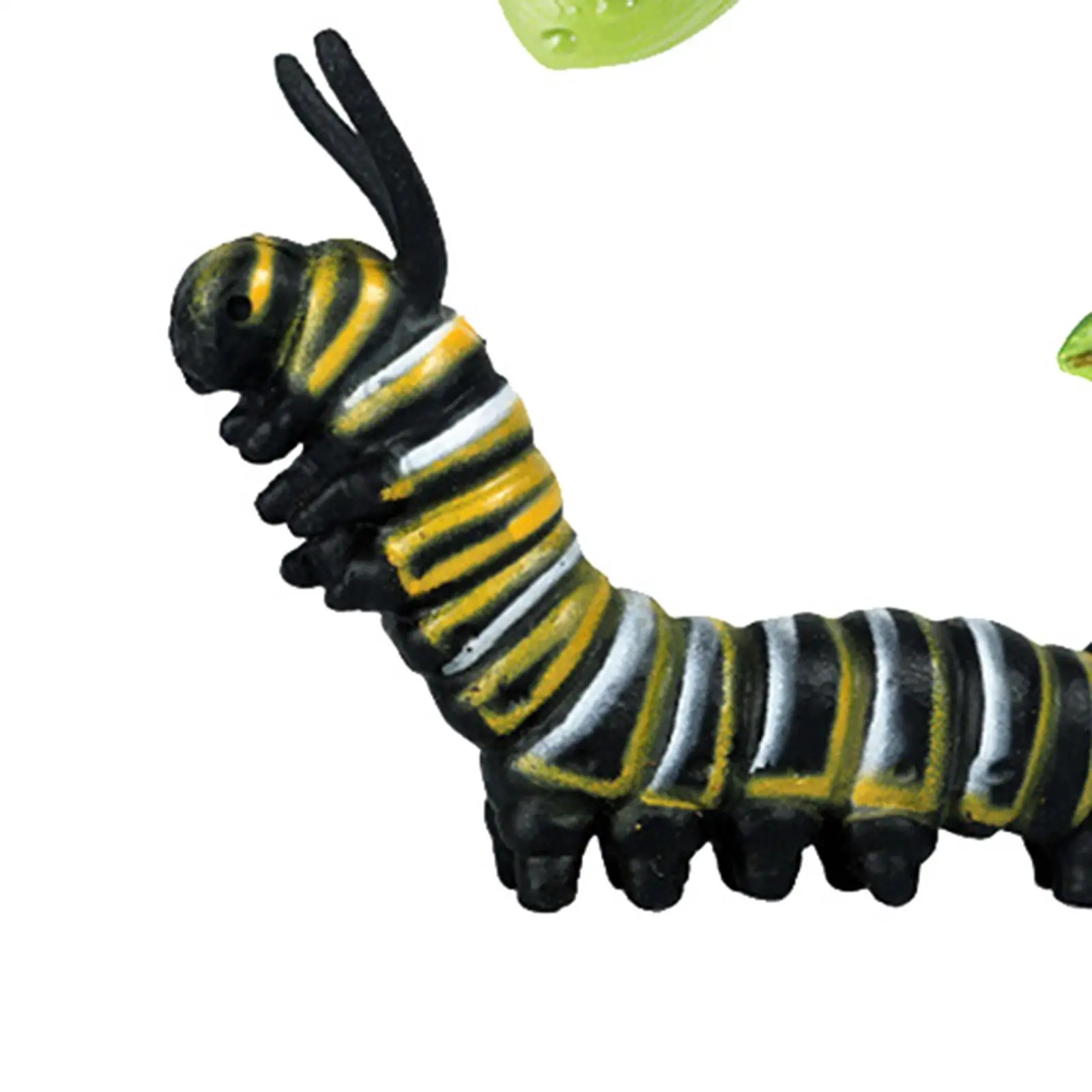 Nature Insects & Plants Growth Figure Kids Pre-school Learning Biology Toys