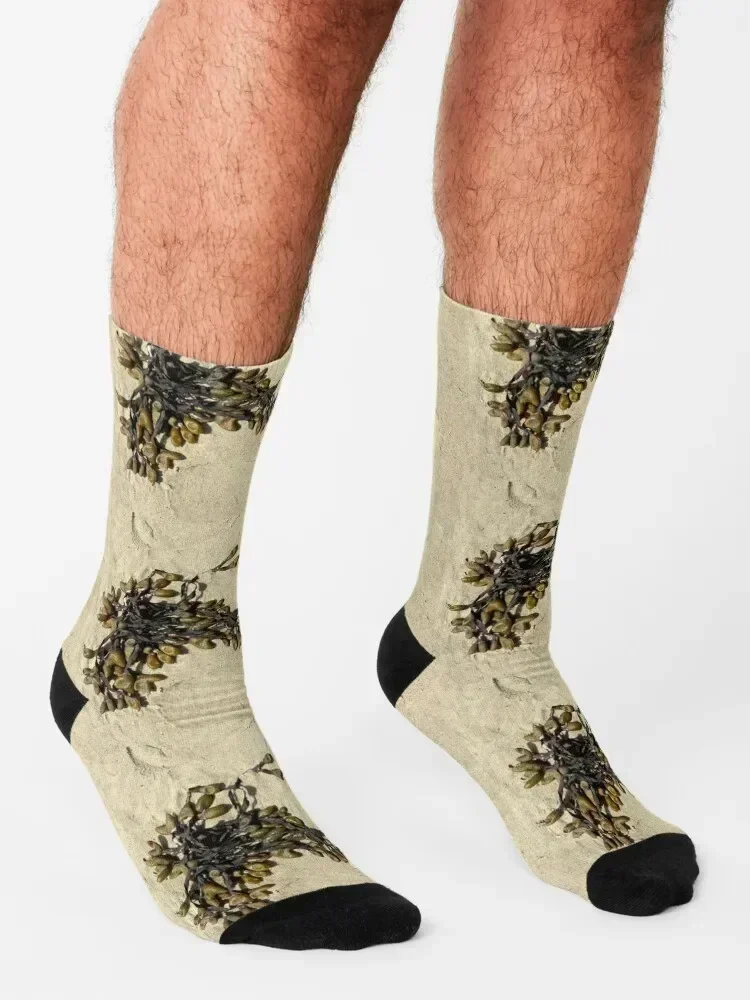 Fucus Spiralis Seaweed Socks Sports new year funny gift designer Socks Ladies Men's