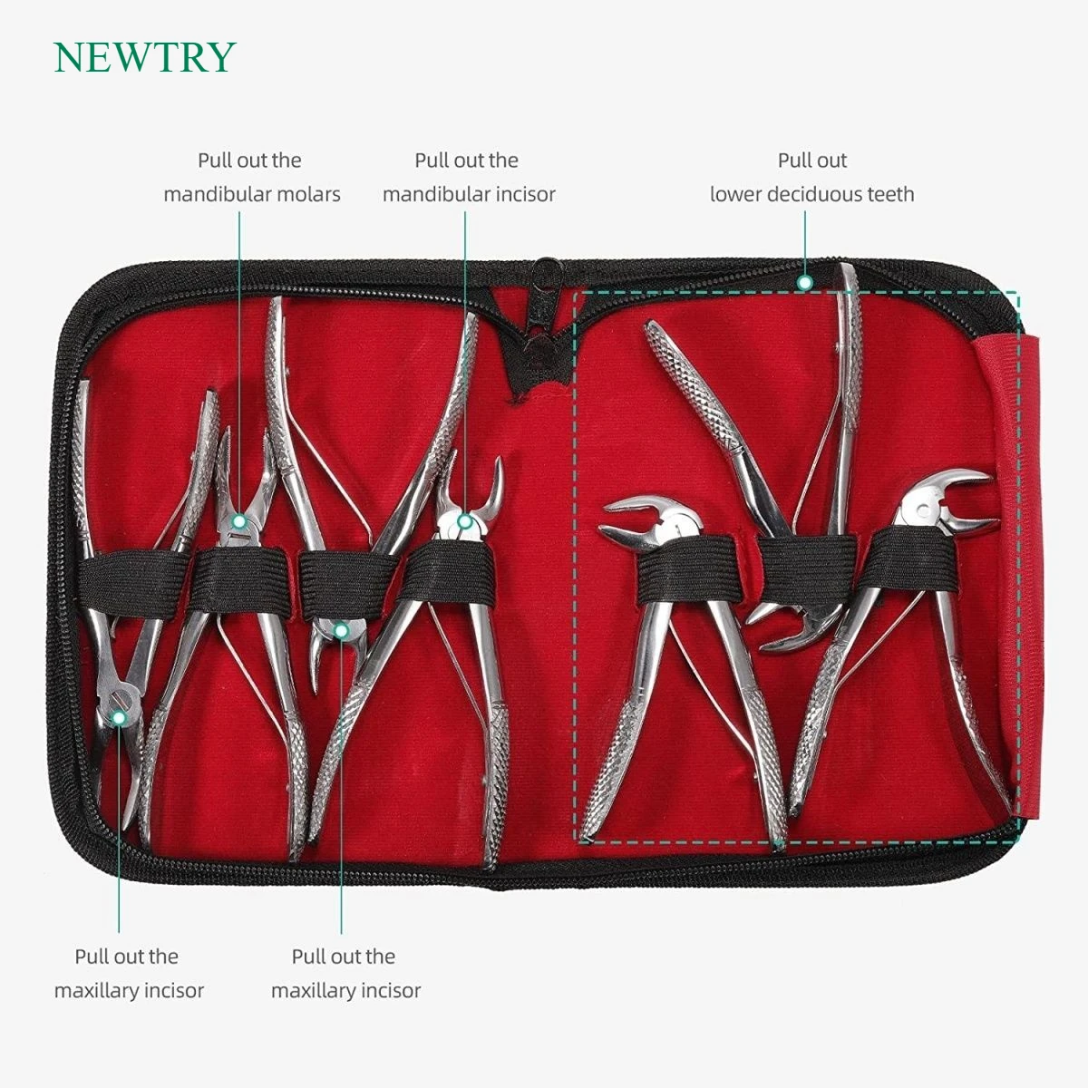 7PCS Dental Stainless Steel Extraction Forceps Set Children Oral Instruments Orthodontic Surgery Extraction Forceps Tools