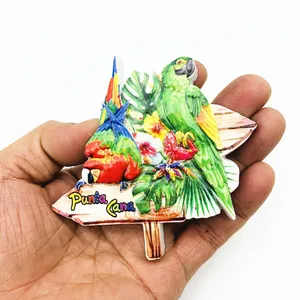 北米ドミニカ共和国ドミニカのプンタカナ3D冷蔵庫マグネット観光お土産磁気ステッカーコレクション 10ベストセールスドミニカ共和国のお土産-7