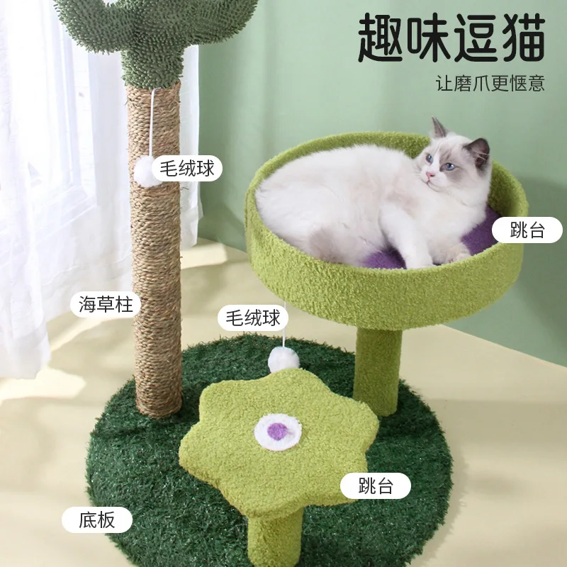 Cactus cat climbing frame