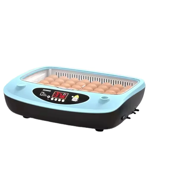 

Automatic Incubator and Egg Hatcher Best Price Quail Egg Incubator 36 Eggs