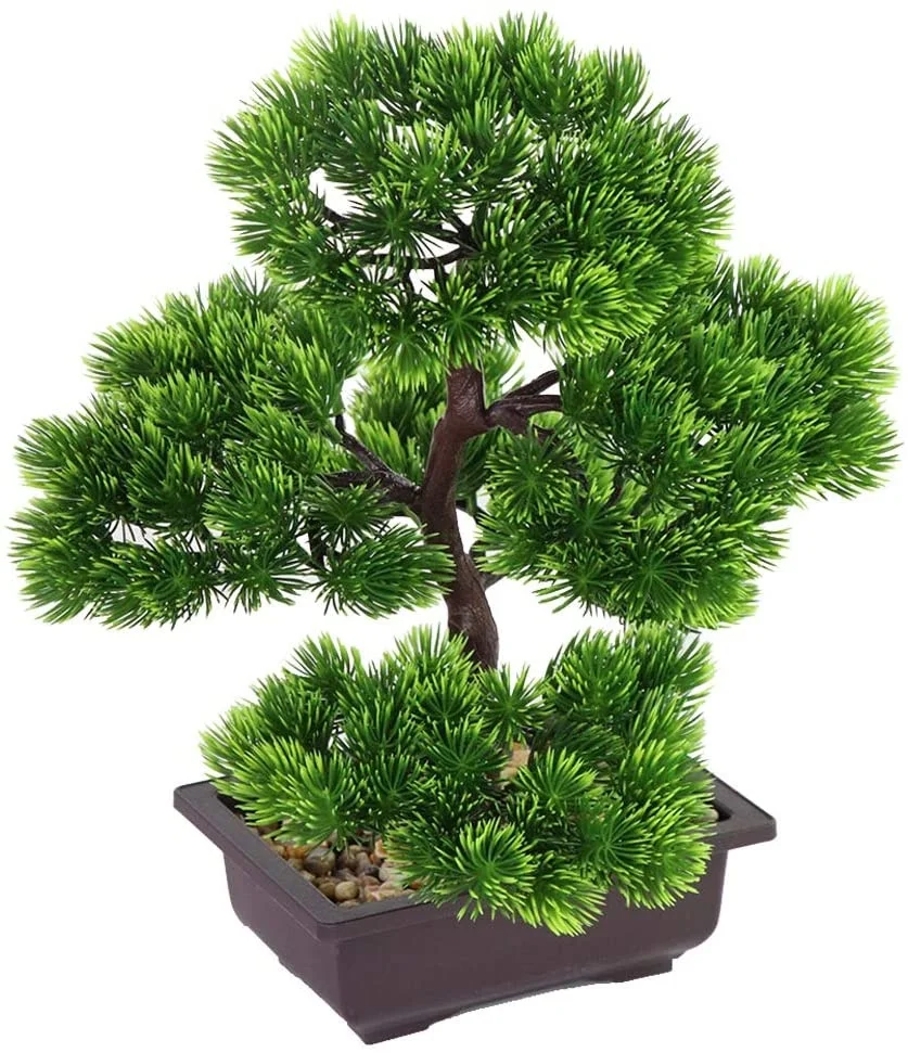 Japanese Pine Bonsai Plant for Home Decoration, Potted House Plants, Desktop Display, 33 cm in Height