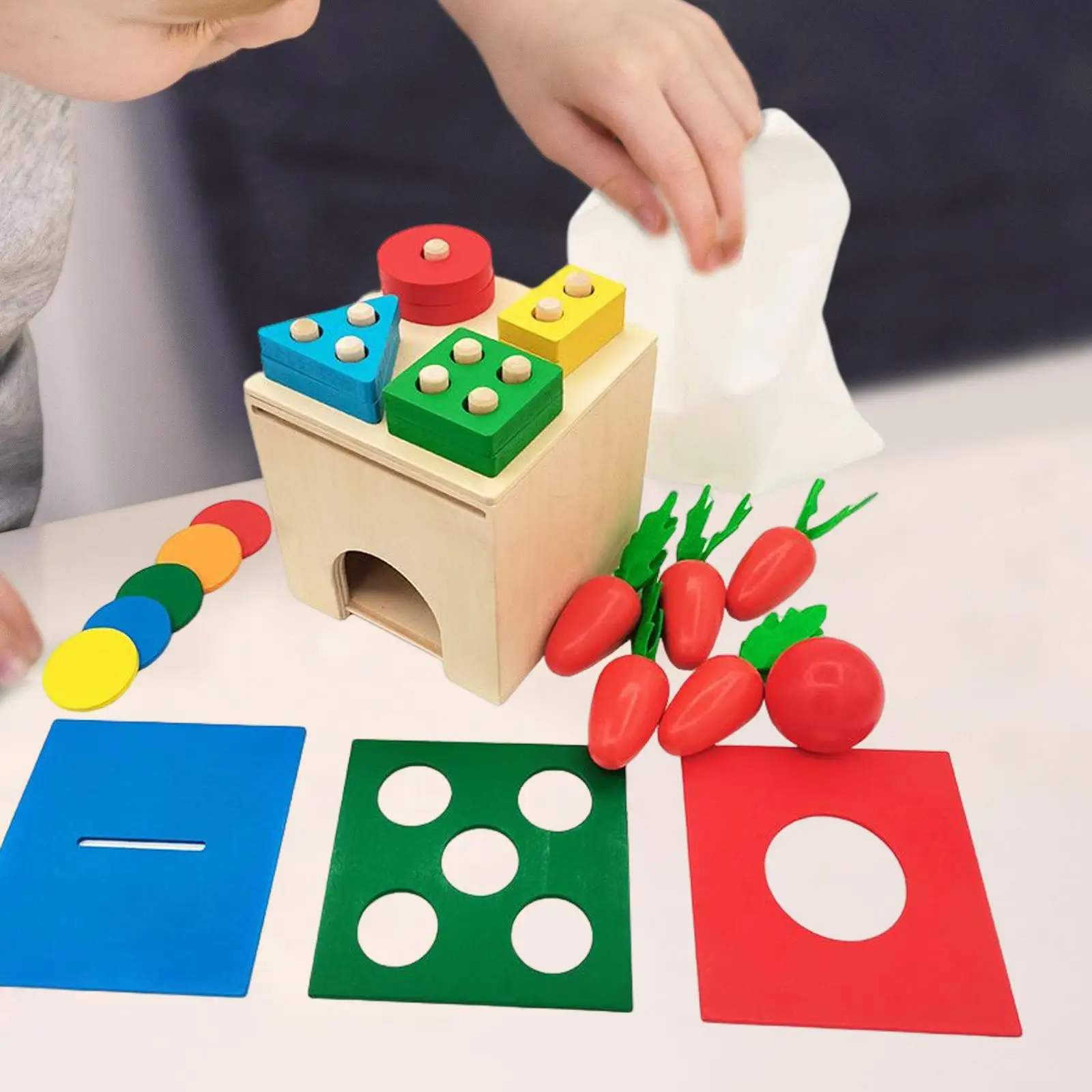 

Object Permanence Box Preschool Learning Wooden Sorting Puzzles for Indoor