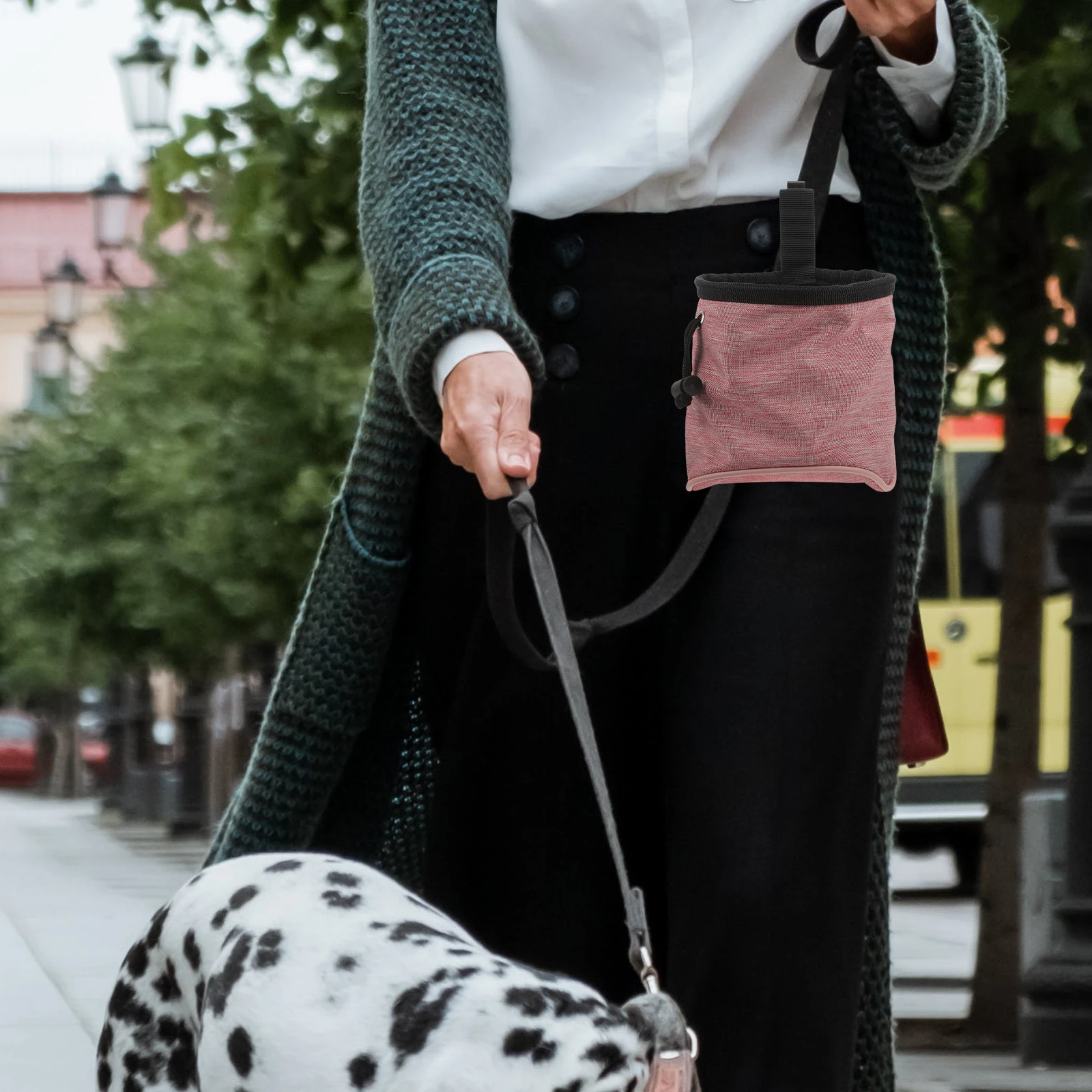 

1Pcs Pet Treat Pouch Lightweight Dog Training Bag Portable Snack Container for Park Walks Outdoor Activities Comfortable Carry