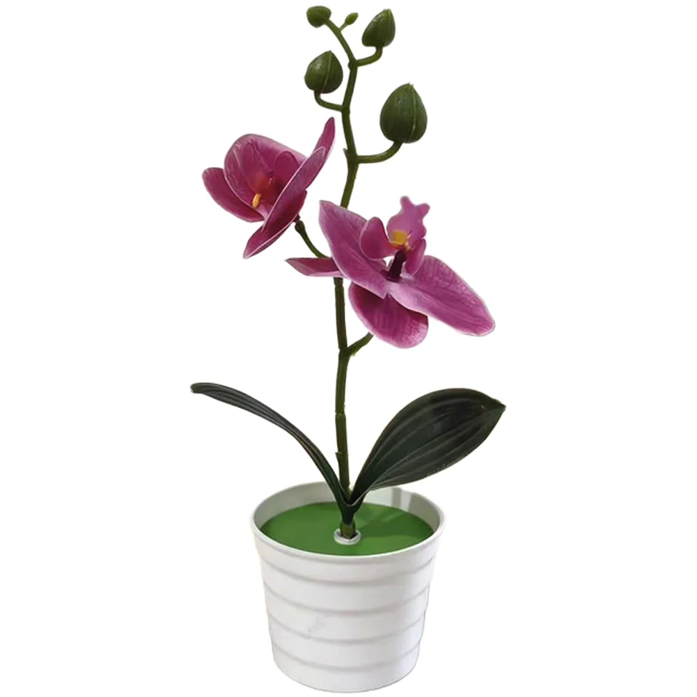 25cm Artificial Phalaenopsis Orchid Plant Potted for Living Room Office Table Decor Soft Glue Realistic Design