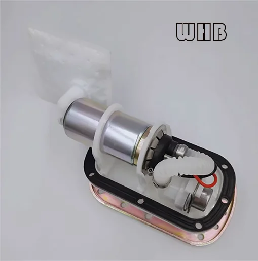 EU quality motorcycle  Delphi original fuel pump assembly gasoline pump assembly fit for earth eagle king new Benda 250 DD250