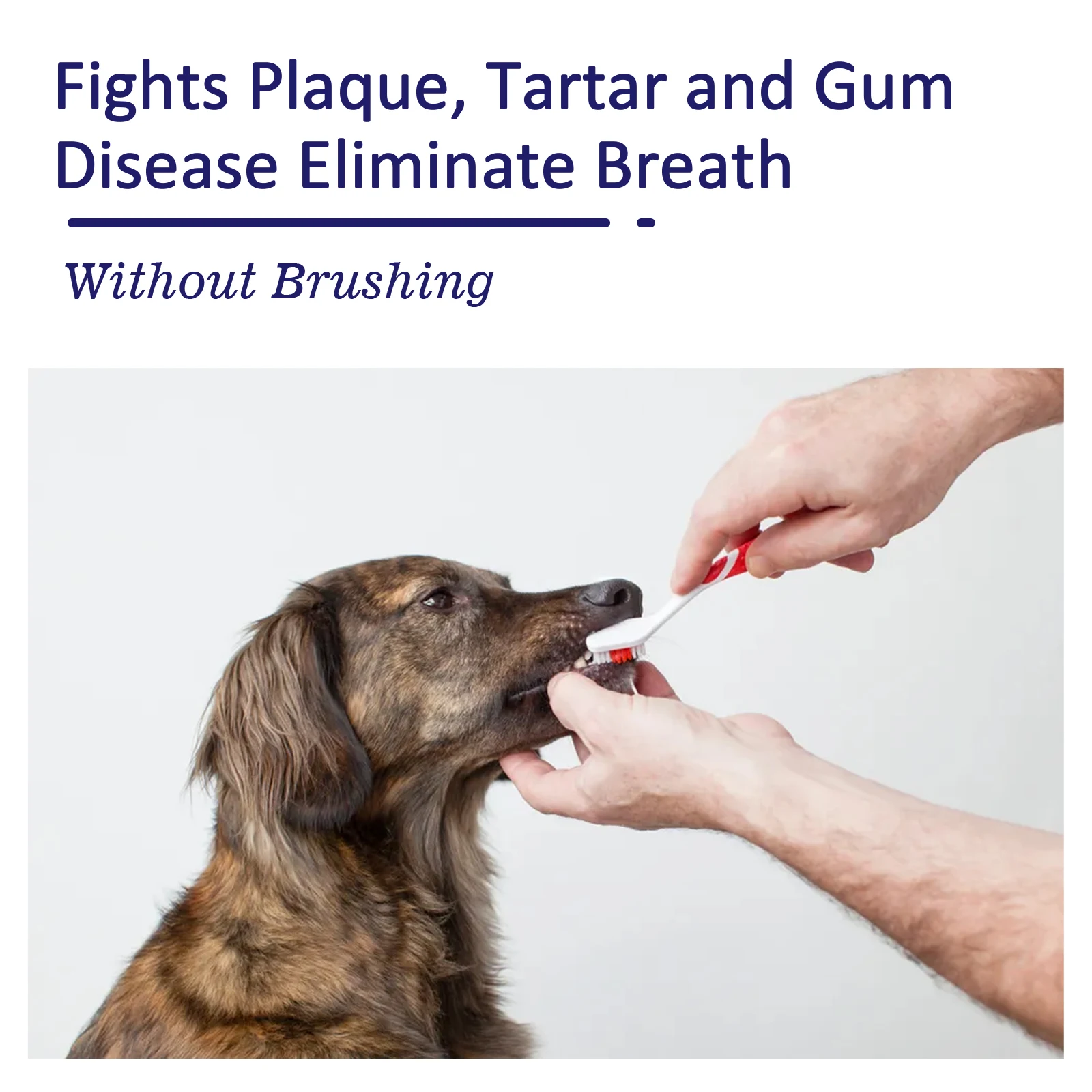 Pet Toothpaste Reduce Tartar R - Teeth Whitening Toothpaste review and price