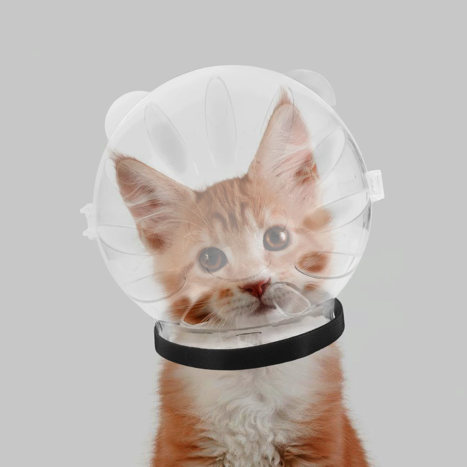 

Cat Transparent ABS Anti-Biting Chewing Odorless Soft Post Surgery Hood for Kitten Cats Grooming Clear Pet Helmets Feline
