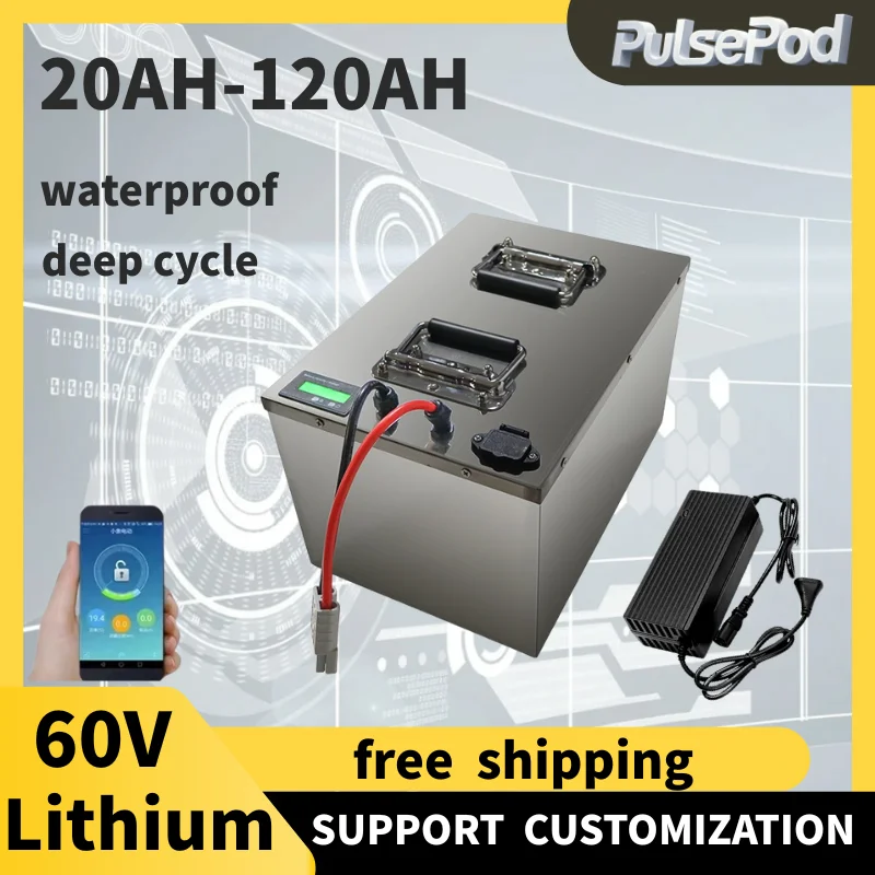 

PulsePod 50Ah 60V 40Ah 60Ah 60V 80Ah 100Ah литий-ионный аккумулятор для 3000w скутера, велосипеда, мотоцикла + зарядное устройство 10A