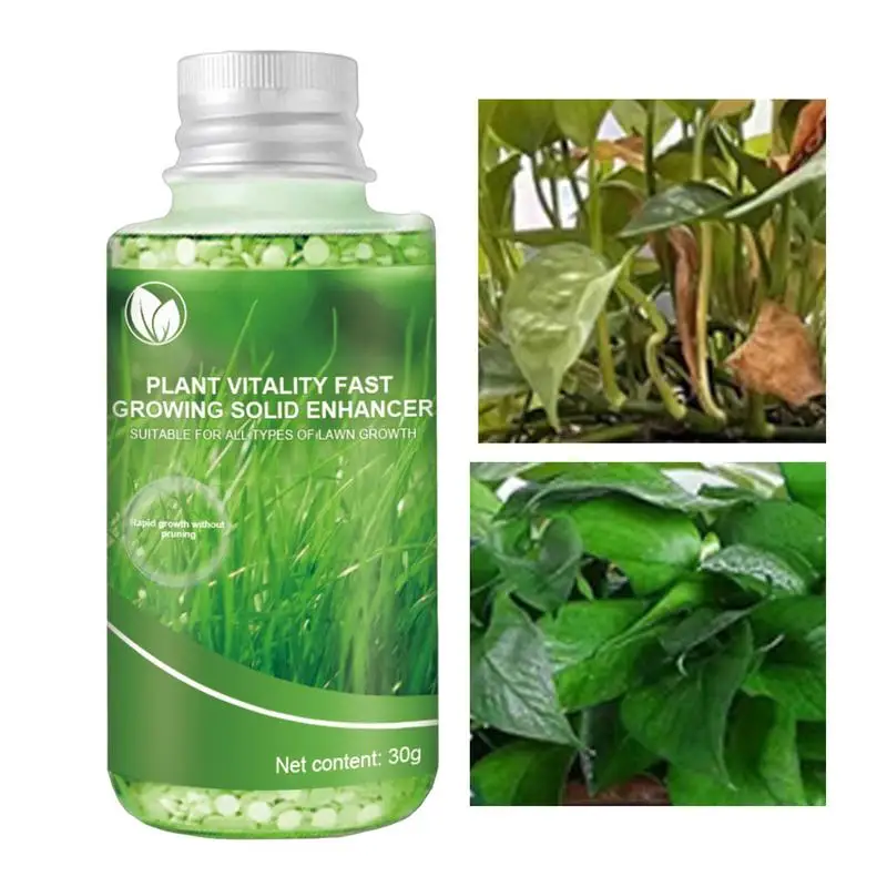 

Plant Nutrients Effective Plants Green Leaf Fertilizer Multipurpose Plants Quick Roots Stimulator Plants Growth Promoter