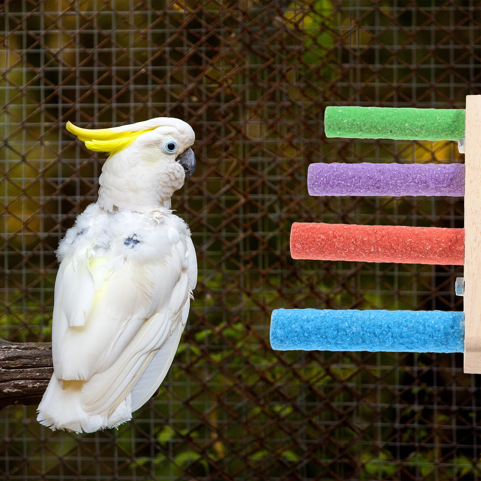 

Multi-Tier Parrot Stand Perch Wooden Bird Climbing Ladder for Cage Accessories Training and Beak Conditioning Bird Ladder