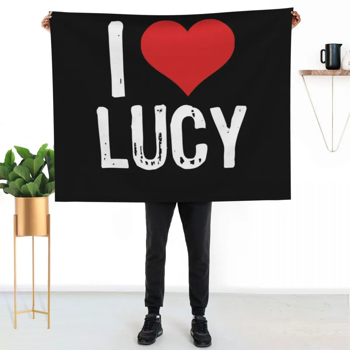 

Mens Funny I Love Lucy Have You Heard Throw Blanket Anti Shedding Soft Fuzzy Blanket for Home