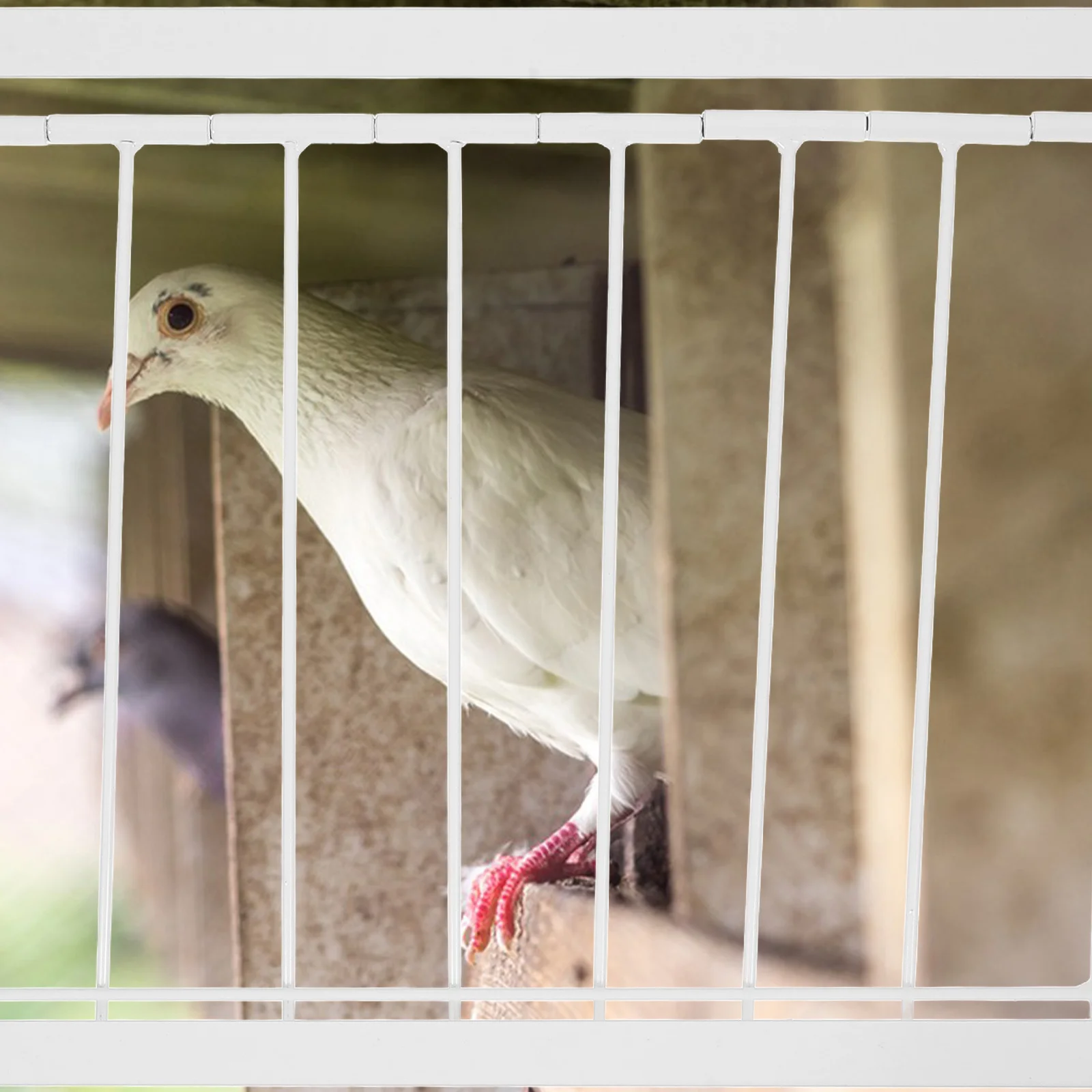 

1Pcs Pigeon Cage Door High Quality Iron Material Easy Install Stable Durable Racing Homing Pigeon Entrance Bird Supply