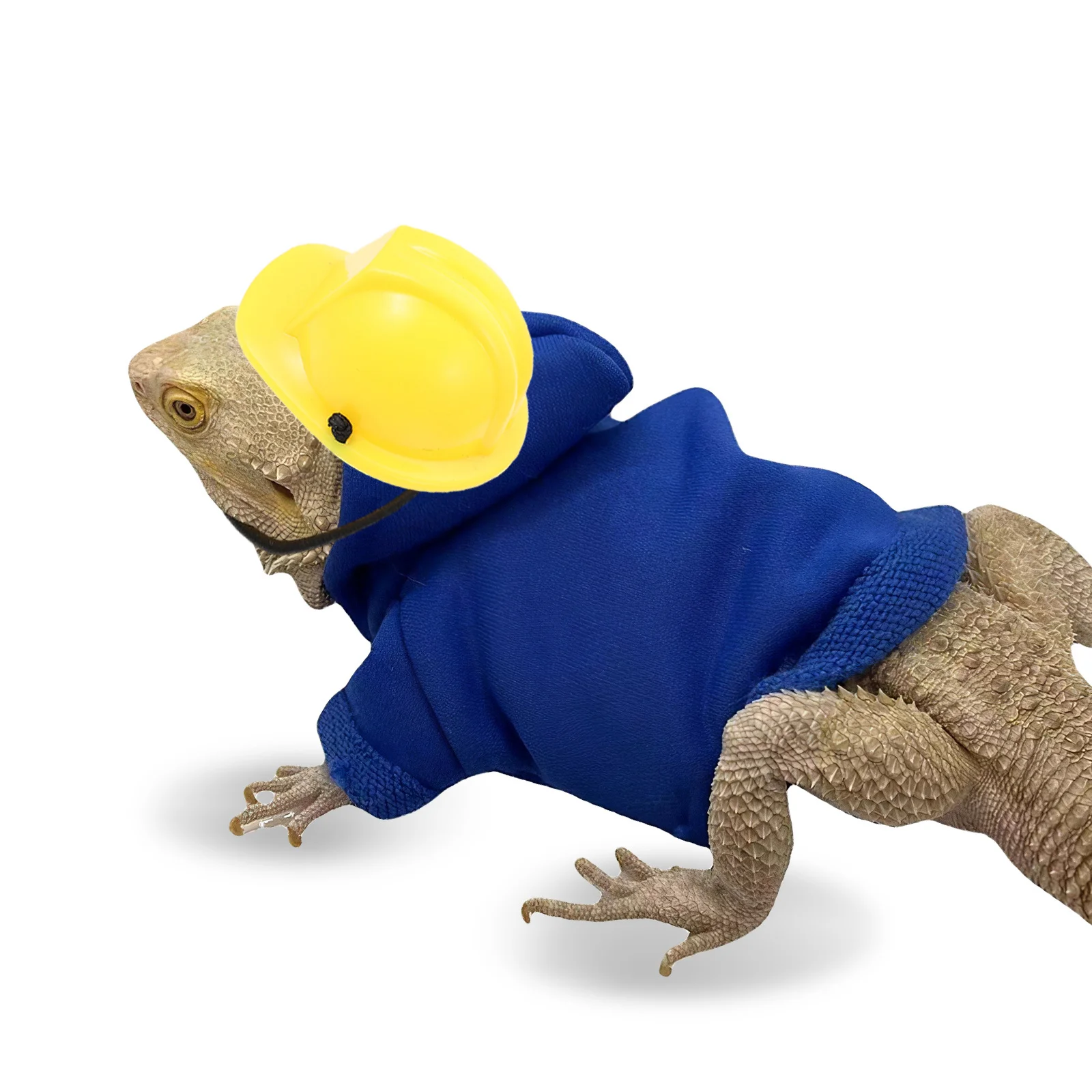 

Creative Pet Miniature Lizard Hat Decorative Crawl Pet Adornment Safe Comfortable Photo Prop Gift Miniature