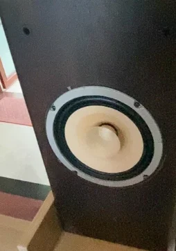 coppia-di-altoparlanti-hifi-full-range-da-65-pollici-per-progetti-fai-da-te-domestici-f6