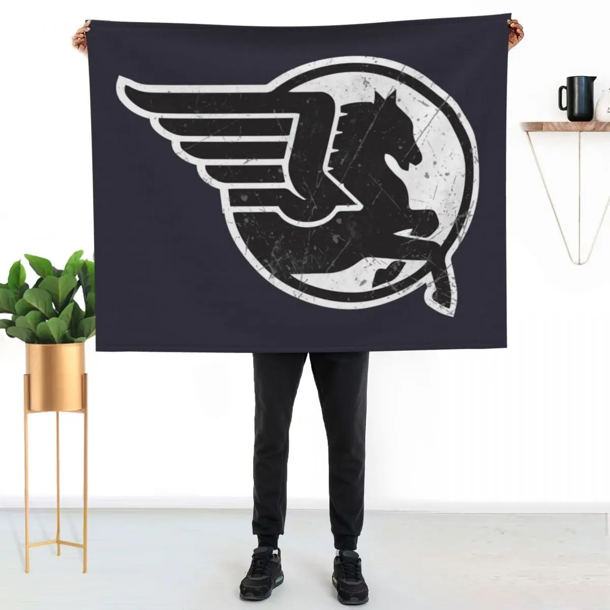 Buell Pegasus Motorcycle Vintage Throw Blanket For Decorative Sofa Luxury Throw Sofas Luxury Thicken Sofa Quilt Blankets