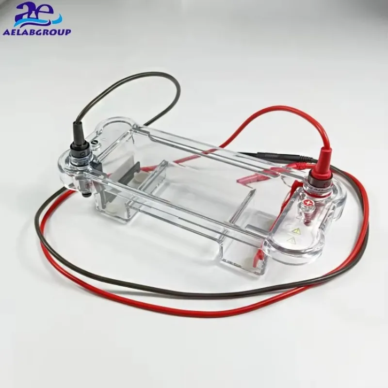 2026 ljc Hirizontal Capillary Haemoglobin Digital Automatic Mini Gel Electrophoresis Tank Machine Detectable DNA Enzymes One Box