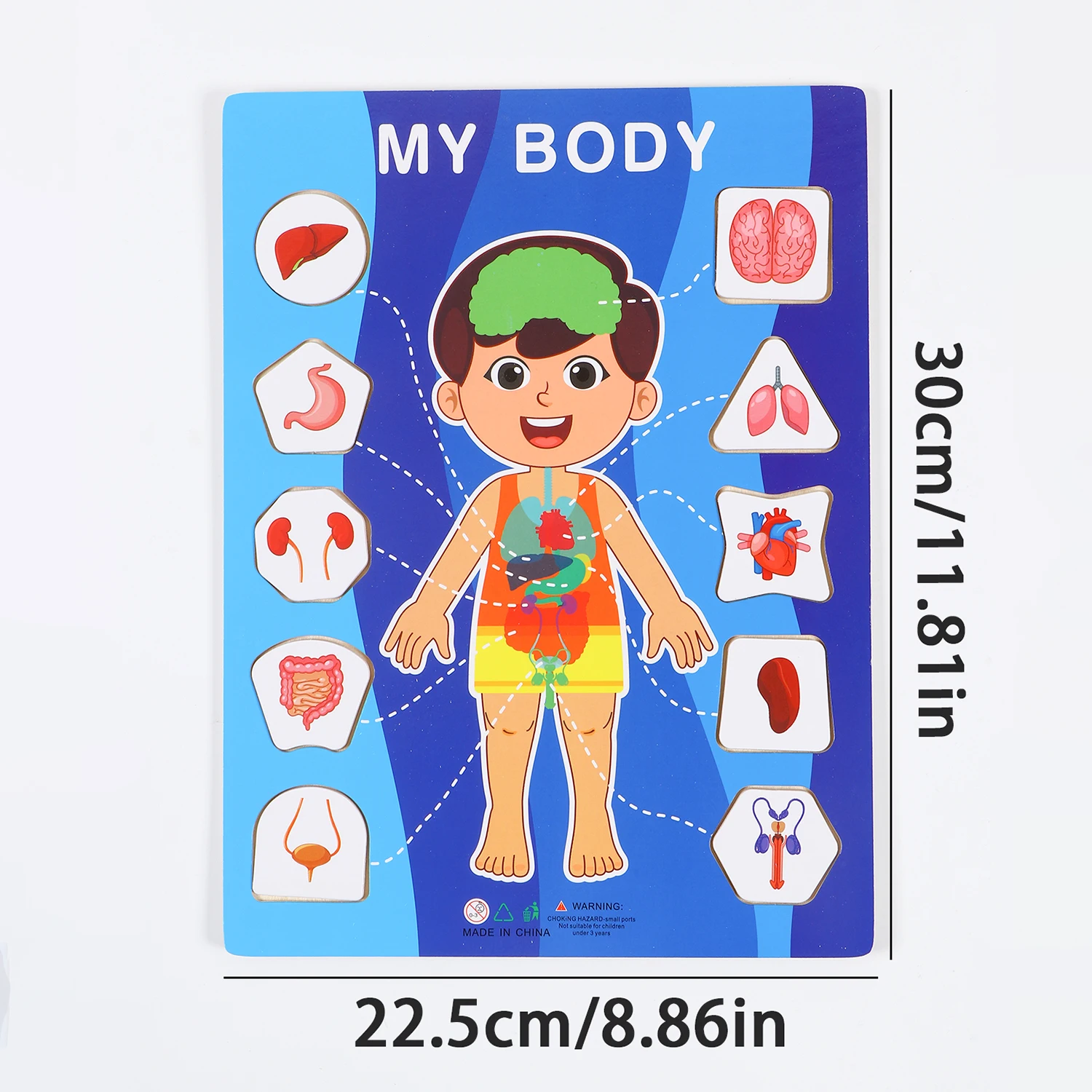 1 Set of Wooden Learning Boards for School, Office, and Home Use, Helping You Learn about My Body, a Perfect Gift for Family, F