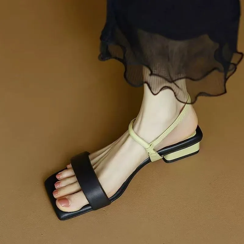 2025 New Summer Squ… - image