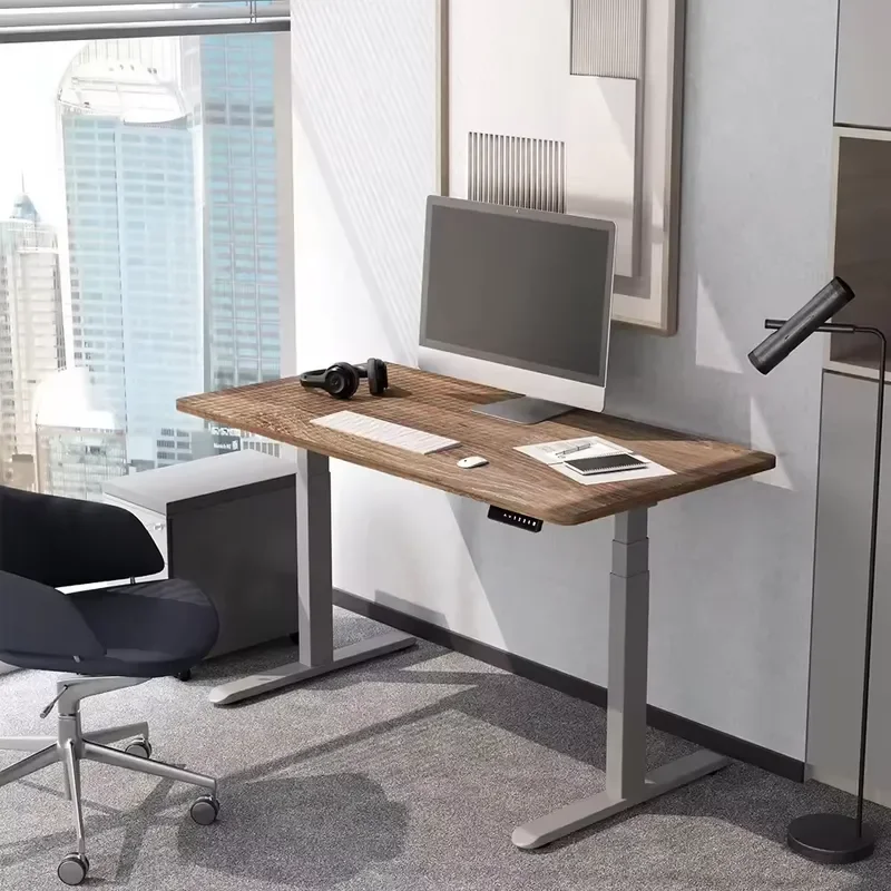 Dual Motor Electric Standing Desk 660-1310mm Height Adjustable Sit Stand Office Desk Hidden Lift Hospital Workstation