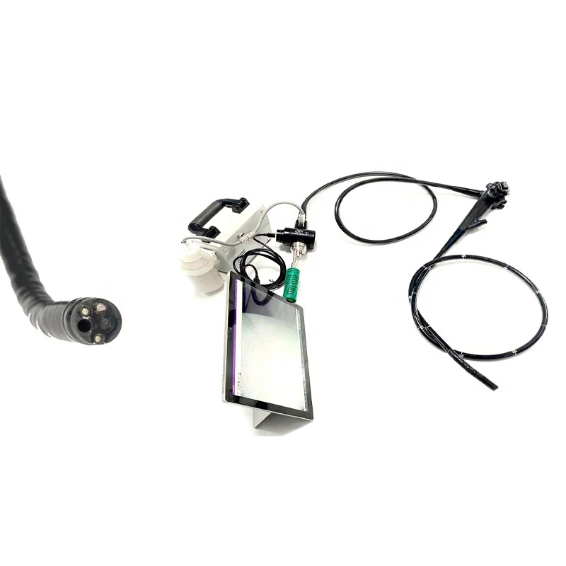 Flexible Endoscope Veterinary Equipment Portable Veterinary Video Endoscope System for Dog