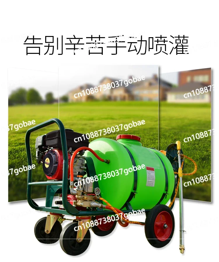 Trolley-Type Hand-Push High-Pressure Agricultural Gasoline Power Sprayer