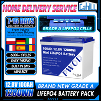 Brand New 12V 100Ah Lifepo4 Battery Pack Group 24 Built-in BMS Grade A 12.8V Lithium Iron Phosphate Cell For RV EV Camping Solar