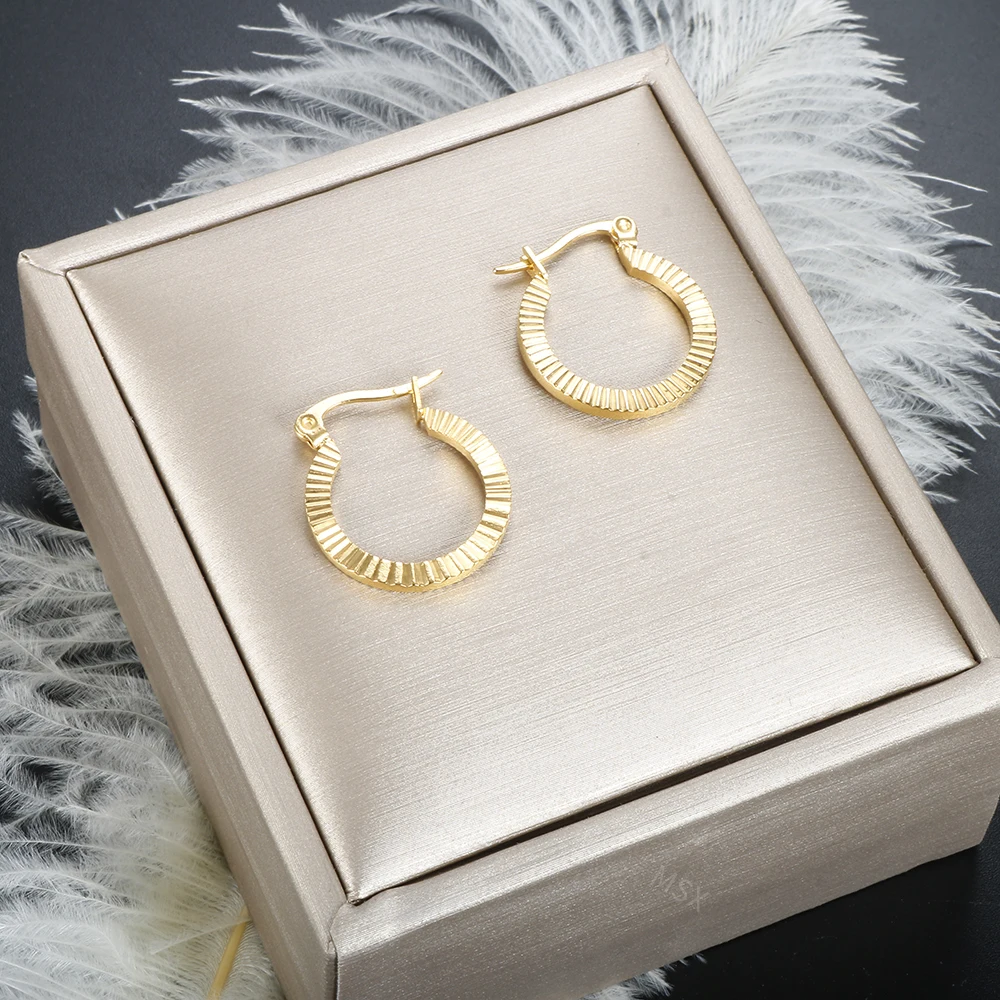 Aros Aesthetic Earrings   Earrings Ring U Shaped Threaded Baroque Metal Stainless Steel Hoops Earring Jewelry Gift image 6