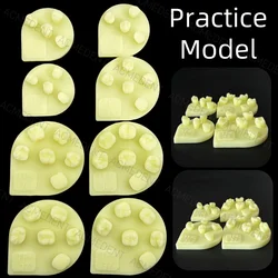 8pcs/Kit Dental Composite Resin Filling Practice Model Teeth Molar Dentistry Student Training Test Model Practise Resin Stack