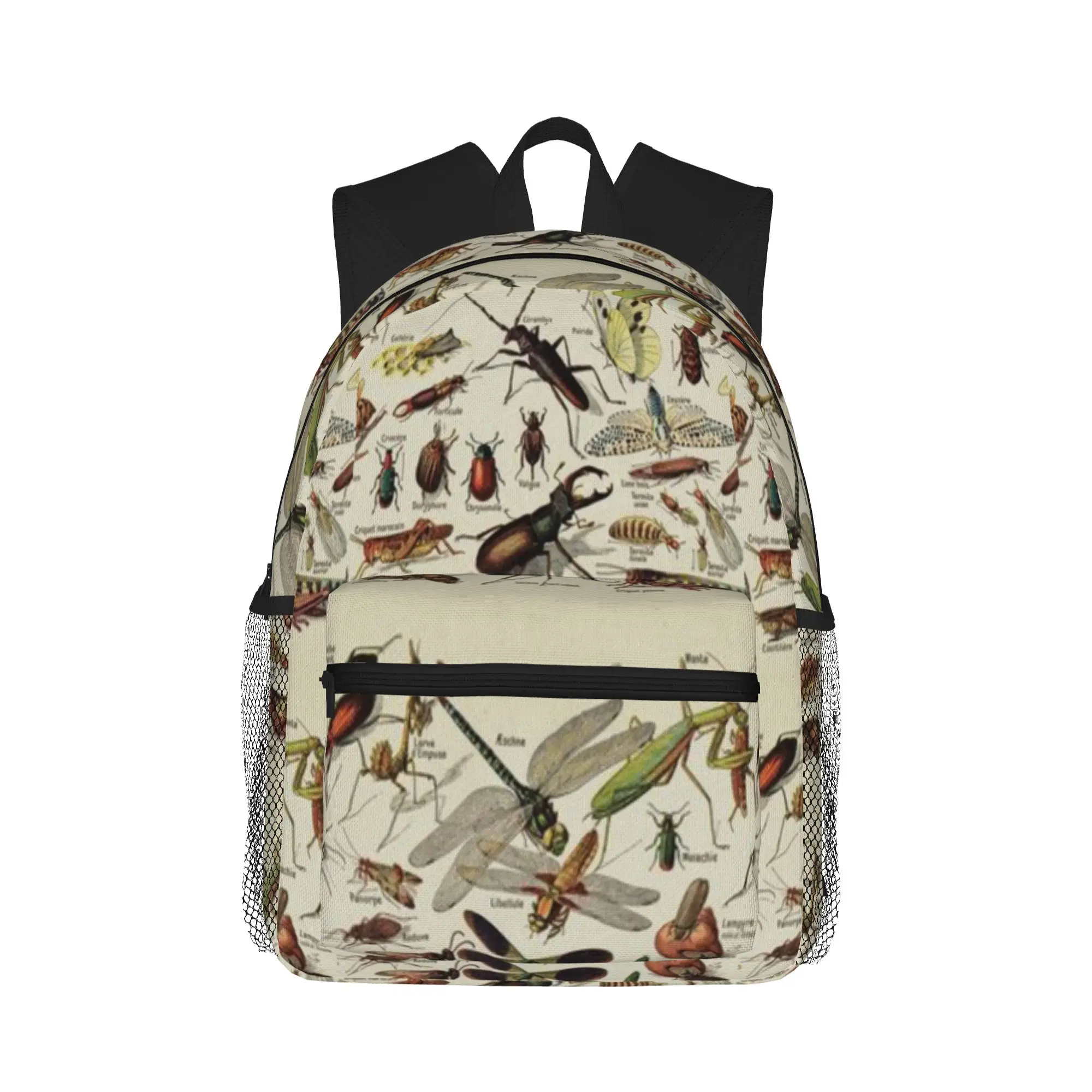 Insects Chart  Scientific Illustration  text in french  Casual Backpack for Students and Adults Men's backpack