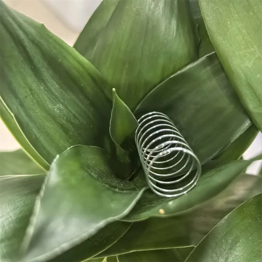 

TN660 TN630 TN2310 TN2360 TN2330 Шестерня сброса флага для BROTHER L2300 L2305 L2320 L2340 L2360 L2380 L2500 L2520 L2540 L2560 L2680