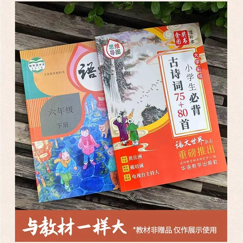 Elementary School Students Must Memorize 75 To 80 Ancient Poems, Including Classical Chinese Literature and Reading Books