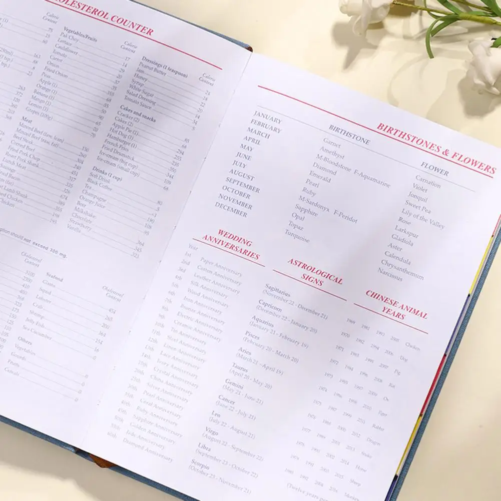 Caderno espiral com papel grosso, planejador mensal, diário do escritório, nenhuma espiral eficiente, design moderno